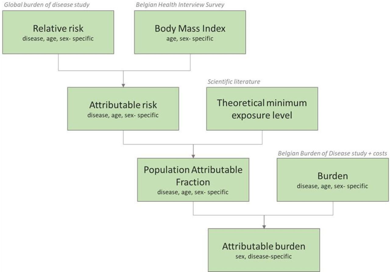 Burden of disease attributable to high body mass index in Belgium: a ...